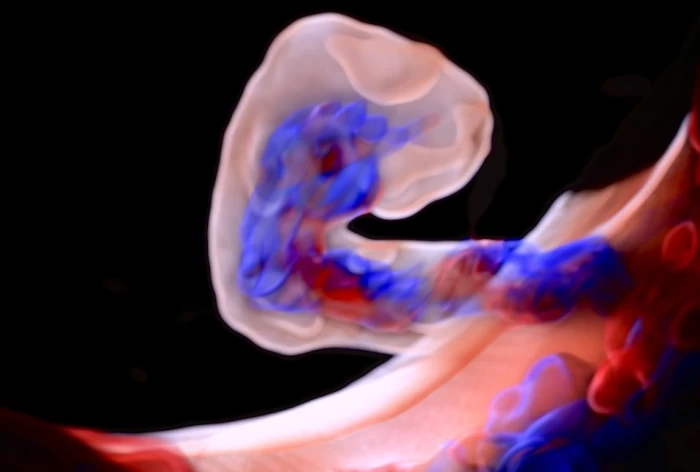 Foto de Ultrassonografia Obstétrica inicial